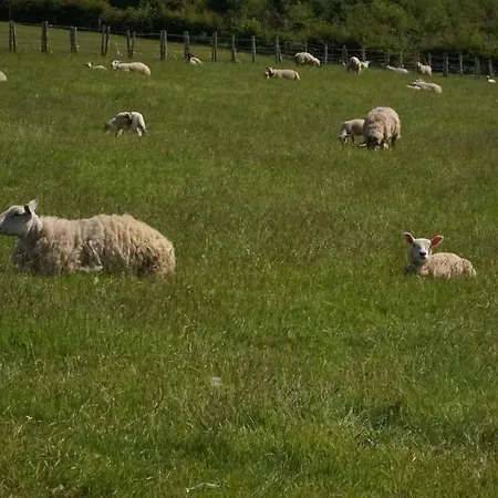 Hillcrest Semesterbostad