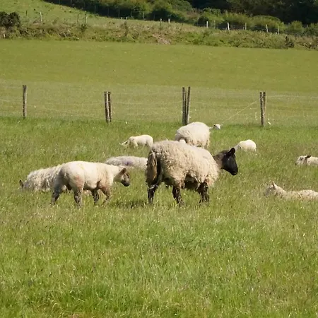 Hillcrest * Anascaul