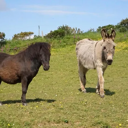 Hillcrest Vakantiehuis