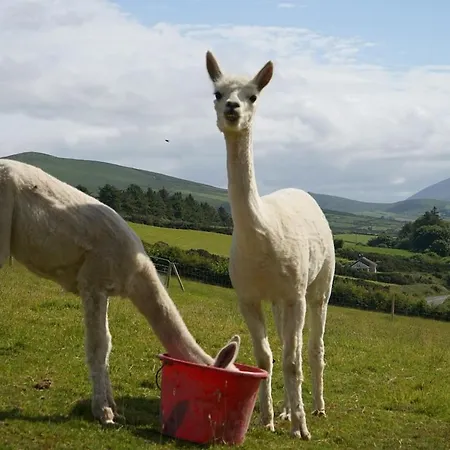 Hillcrest Vakantiehuis