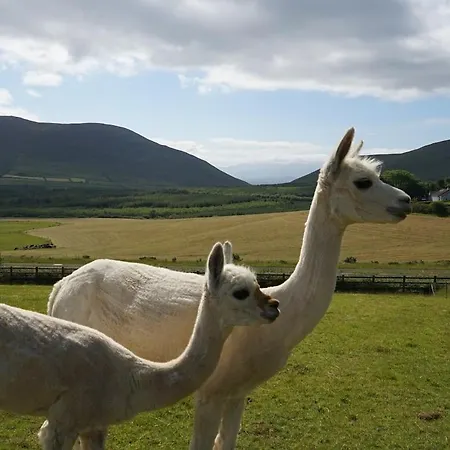 Hillcrest * Anascaul