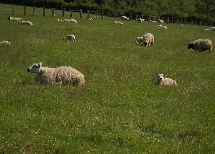 Hillcrest Hébergement de vacances