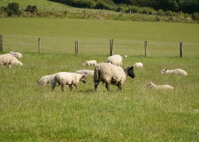 Hillcrest * Anascaul