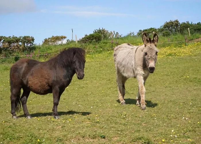 Hillcrest Hébergement de vacances