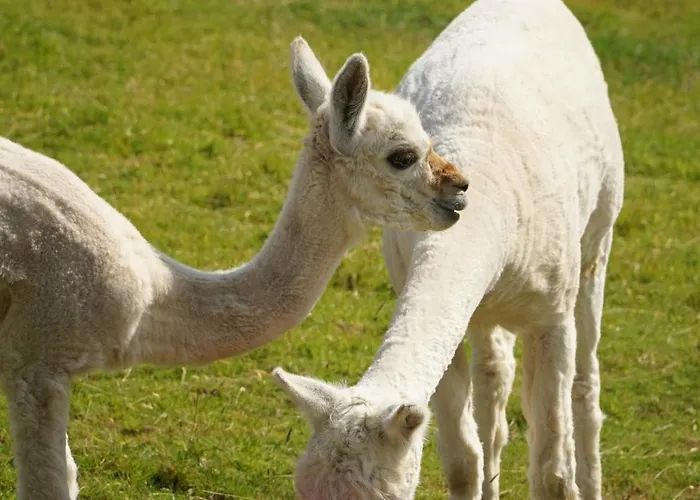 Hébergement de vacances Hillcrest