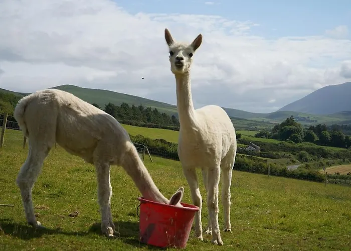Hillcrest Hébergement de vacances