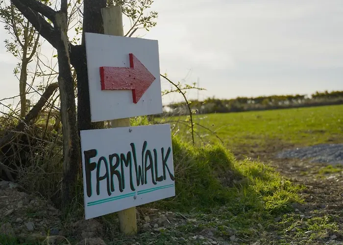 Hillcrest Hébergement de vacances Anascaul